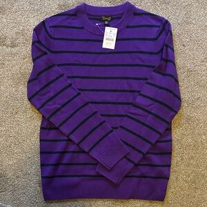 JCrew Crewcuts Purple and Dark Green Striped Cashmere Crewneck Sweater
